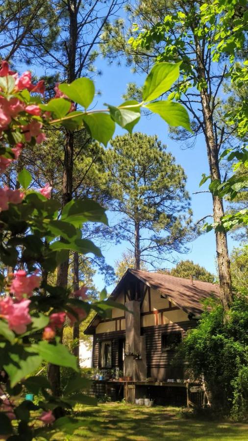 Cabana En Carilo Villa ภายนอก รูปภาพ